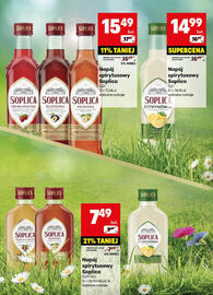 Delikatesy Centrum gazetka | Alkohole Strona 10