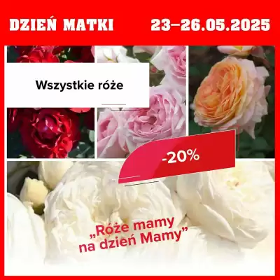 Szarotka gazetka