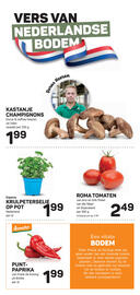 Ekoplaza folder week 22 Pagina 10