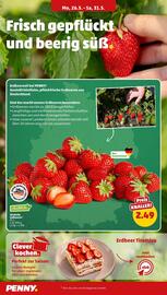 PENNY Prospekt woche 22 Seite 22