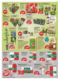 V Markt Prospekt woche 22 Seite 20