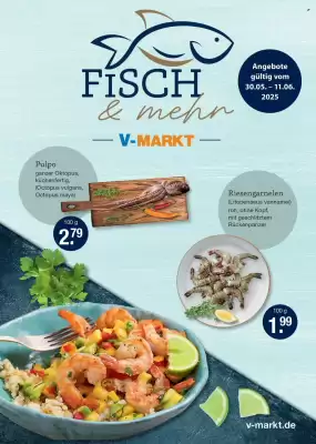 V Markt Prospekt (gültig bis 11-06)