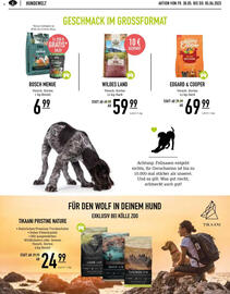 Kölle Zoo Prospekt woche 22 Seite 8