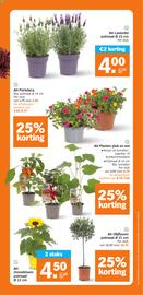 Albert Heijn folder week 22 Pagina 35