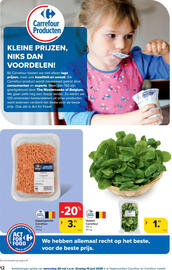Carrefour folder Pagina 12