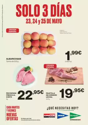 Folleto El Corte Inglés (válido hasta el 25-05)