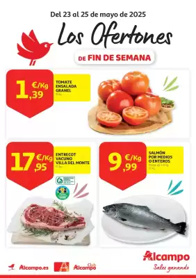 Folleto Alcampo (válido hasta el 25-05)