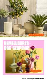 Kwantum folder Pagina 37