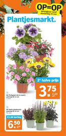 AH XL folder week 22 Pagina 34