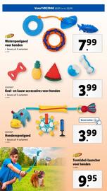 Lidl folder week 22 Pagina 49