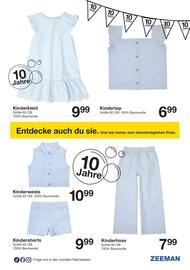 Zeeman Flugblatt Seite 11