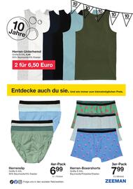 Zeeman Flugblatt Seite 29