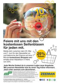 Zeeman Flugblatt Seite 35