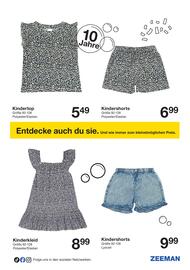 Zeeman Flugblatt Seite 9