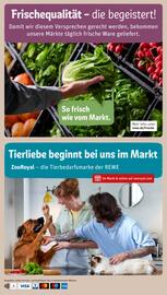 REWE Prospekt Seite 32