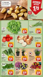 REWE Prospekt Seite 5