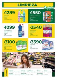Catálogo Supermercados A Granel semana 21 Página 10