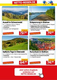 Netto Marken-Discount DE folder week 22 Pagina 42