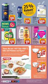 Rewe DE folder week 21 Pagina 20