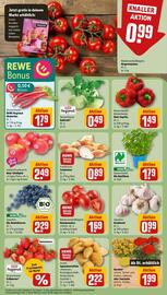 Rewe DE folder week 21 Pagina 7