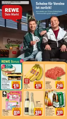 Rewe DE folder (geldig t/m 24-05)