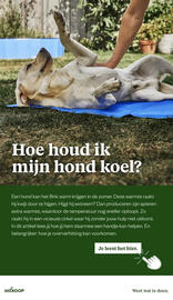 Welkoop folder Pagina 25