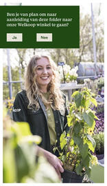 Welkoop folder Pagina 31