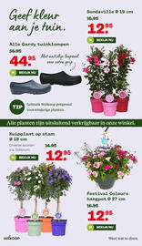 Welkoop folder Pagina 5