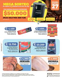 Catálogo Surtifamiliar Página 4
