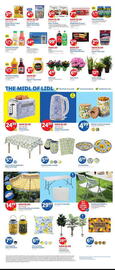 Lidl Weekly Ad week 21 Page 2