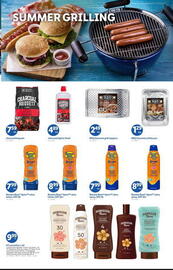 Lidl Weekly Ad week 21 Page 4