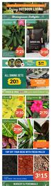 Lakeside Garden Gallery flyer Page 1