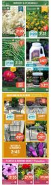 Lakeside Garden Gallery flyer Page 2