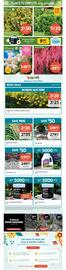 Lakeside Garden Gallery flyer Page 3
