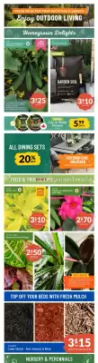 Lakeside Garden Gallery flyer (valid until 8-06)
