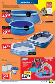Lidl Flugblatt woche 22 Seite 22