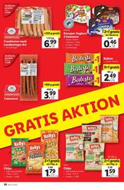 Lidl Flugblatt woche 22 Seite 45