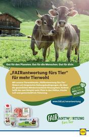 Lidl Flugblatt woche 22 Seite 49