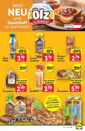 Lidl Flugblatt woche 22 Seite 8