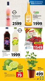 Lidl akciós újság Oldal 27
