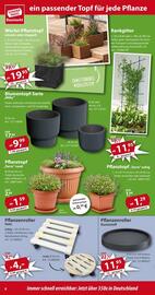 Sonderpreis Baumarkt Prospekt woche 22 Seite 8