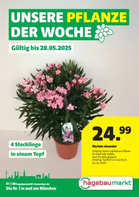 Hagebau Prospekt (gültig bis 29-05)