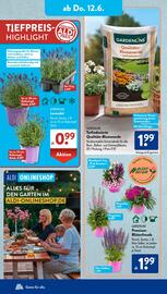 Aldi Süd Prospekt woche 24 Seite 10