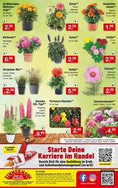 Zimmermann Prospekt woche 22 Seite 10
