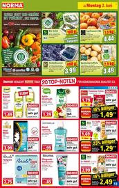 Norma Prospekt woche 23 Seite 13