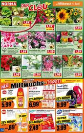 Norma Prospekt woche 23 Seite 14