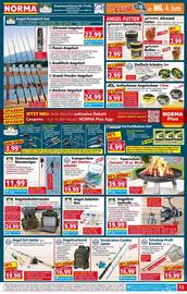 Norma Prospekt woche 23 Seite 15