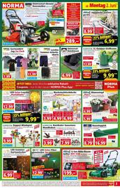 Norma Prospekt woche 23 Seite 3