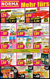 Norma Prospekt woche 23 Seite 8