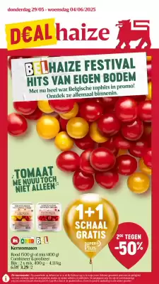 Delhaize folder